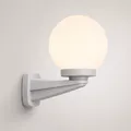 Globe - Nardo