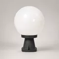 Globe - Disma