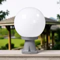 Globe - Disma